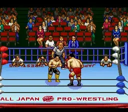 Zen-Nihon Pro Wres 2 - 3-4 Budoukan