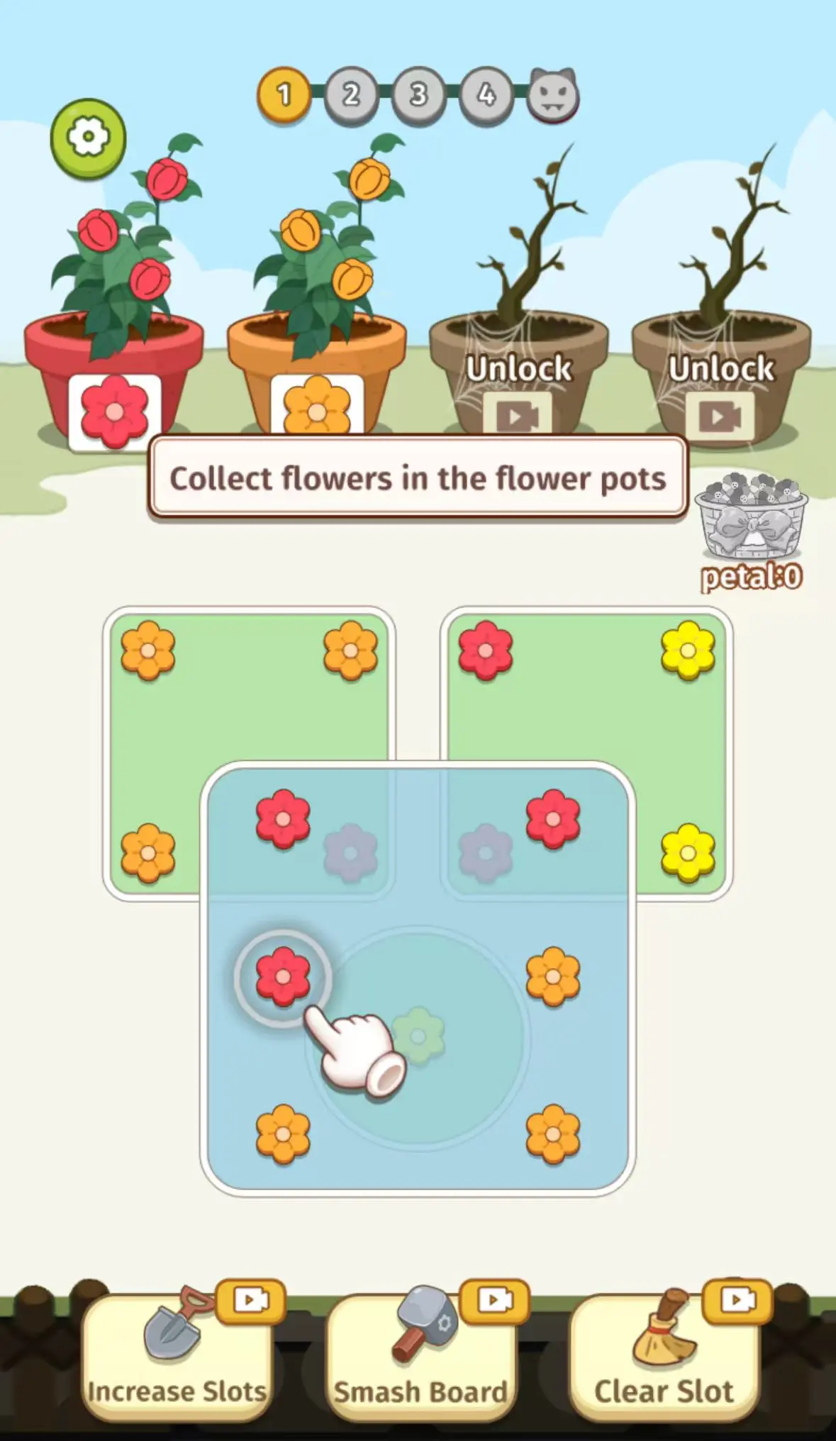 Flower Collection